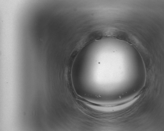 X0000072500217200607290114