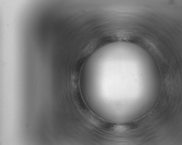 X0000072500218200607290114