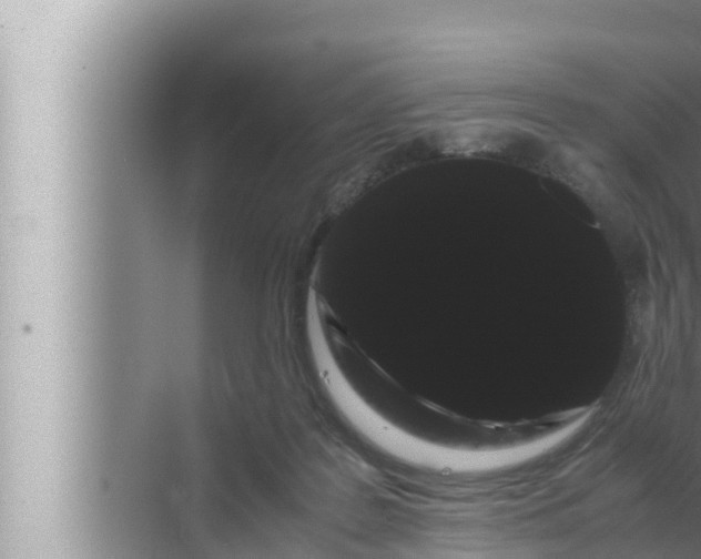 X0000072500219200607290114