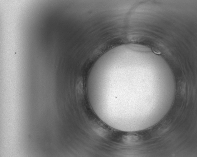 X0000072500220200607290114