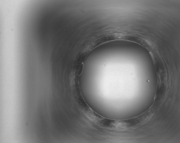 X0000072500221200607290114