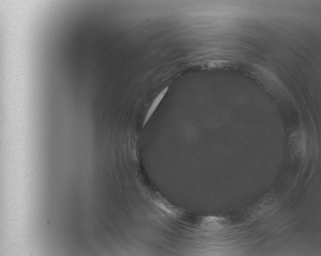 X0000072500222200607290114