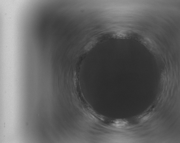 X0000072500223200607290114