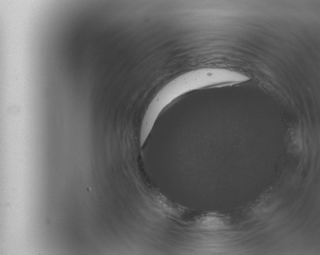 X0000072500224200607290114