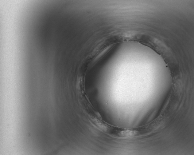 X0000072500225200607290114