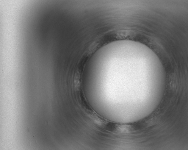 X0000072500226200607290114