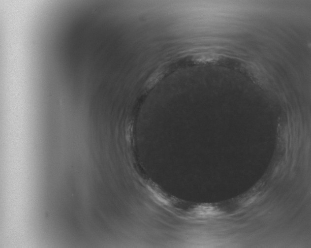 X0000072500227200607290114