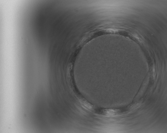 X0000072500229200607290114