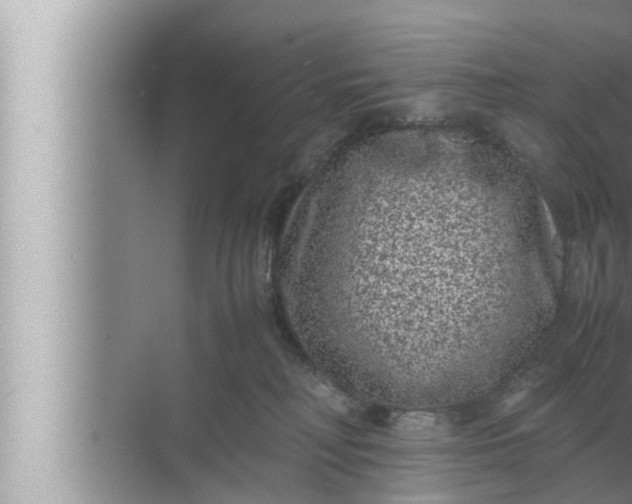 X0000072500230200607290114