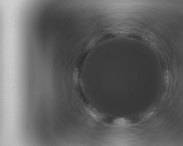 X0000072500231200607290114