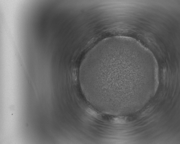 X0000072500232200607290114