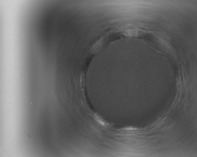 X0000072500233200607290114