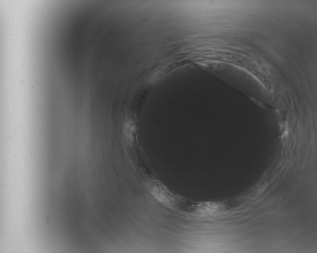 X0000072500235200607290114