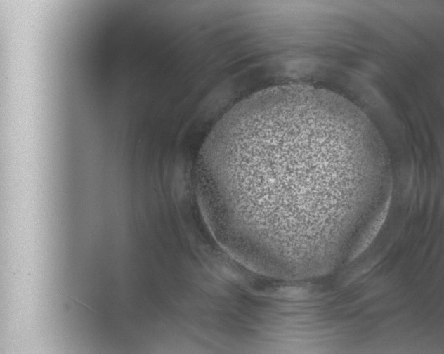 X0000072500236200607290114