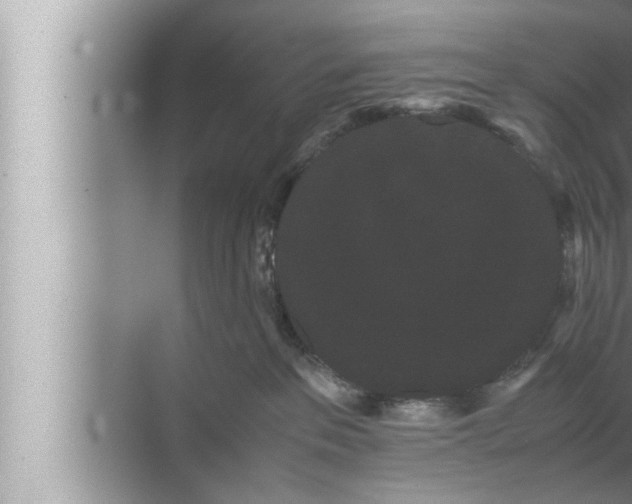 X0000072500237200607290114