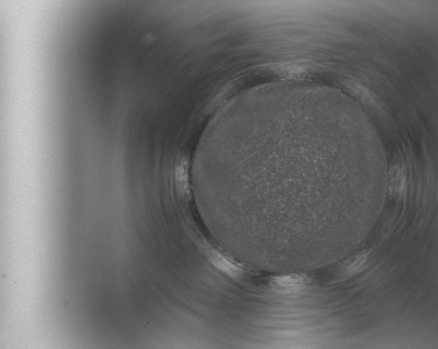 X0000072500238200607290114