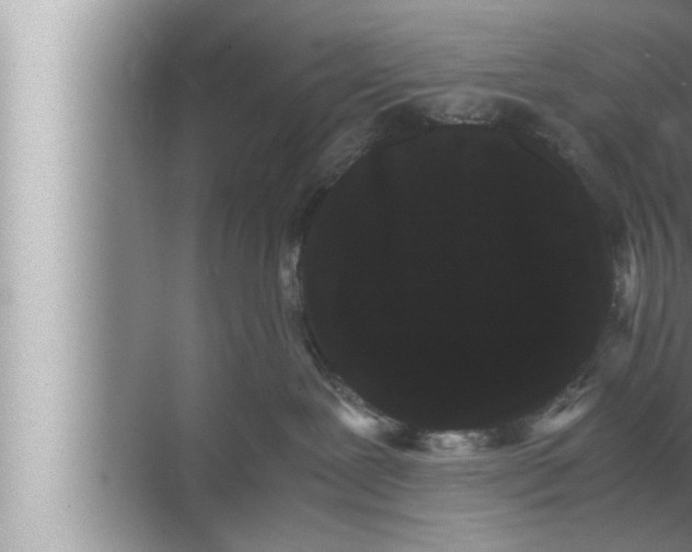 X0000072500239200607290114