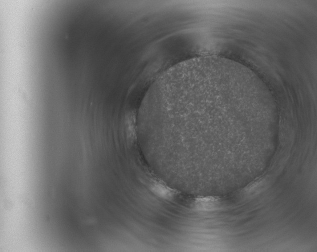 X0000072500240200607290114