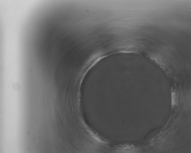 X0000072500243200607290113