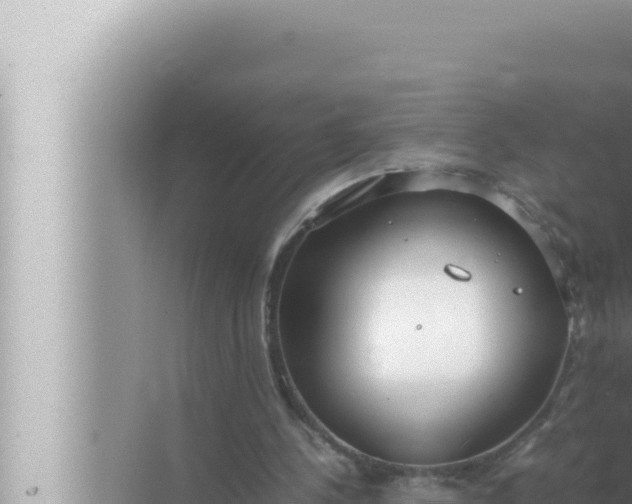 X0000072500244200607290113