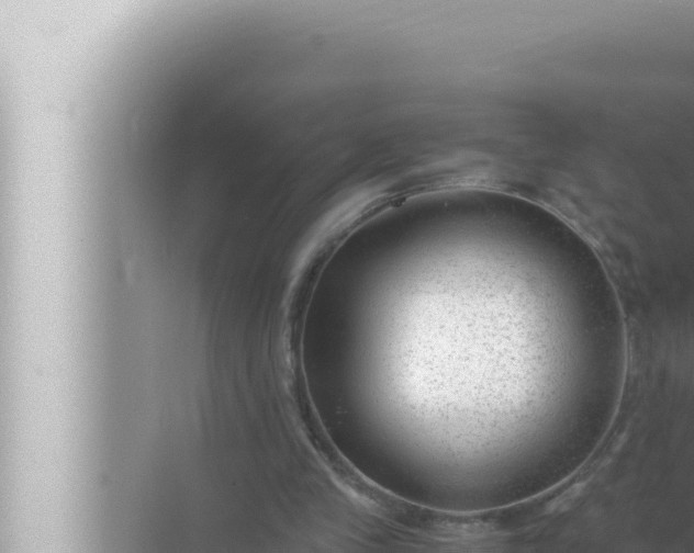 X0000072500245200607290113