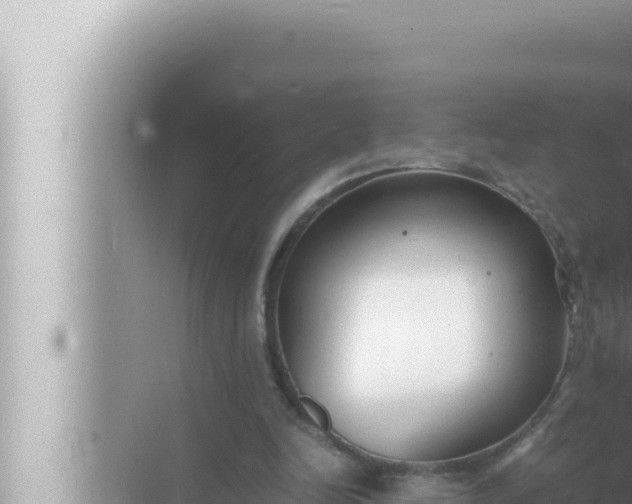 X0000072500246200607290113