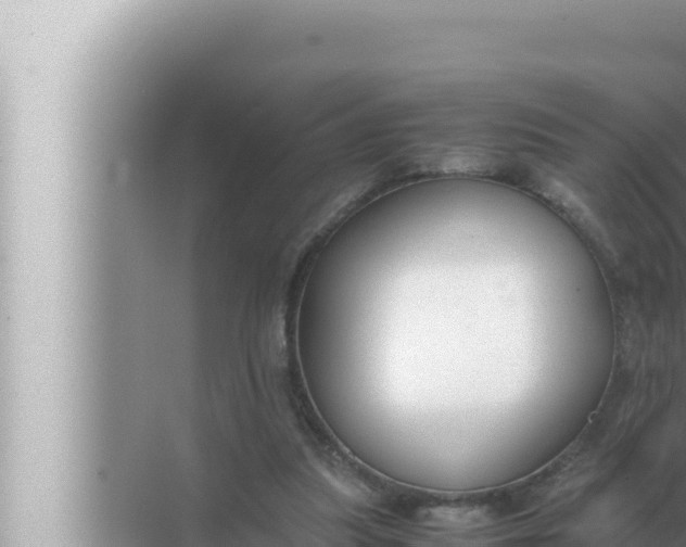 X0000072500251200607290113