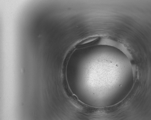 X0000072500252200607290113