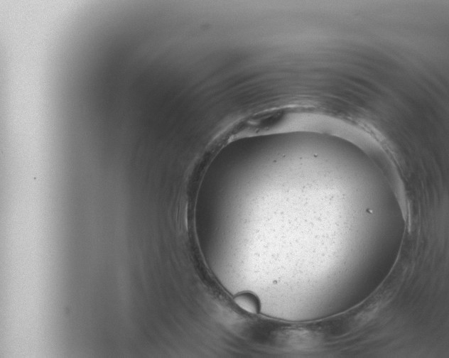 X0000072500253200607290113