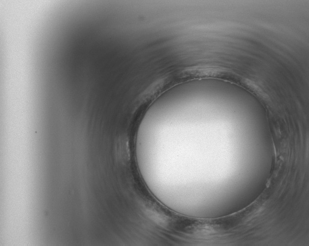 X0000072500254200607290113