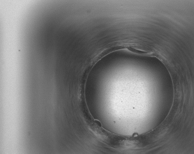 X0000072500255200607290113