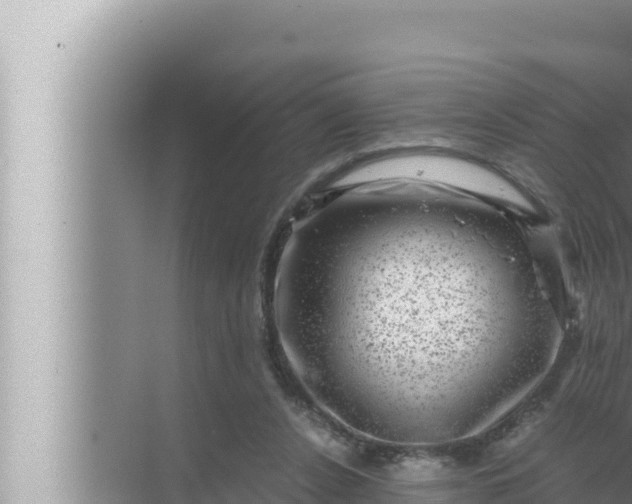 X0000072500256200607290113