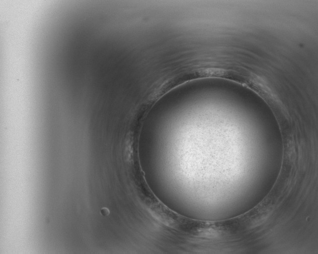 X0000072500259200607290113