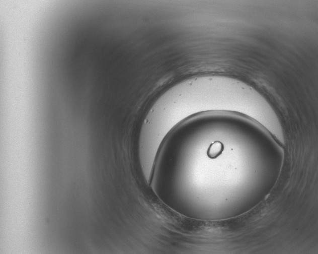 X0000072500260200607290113