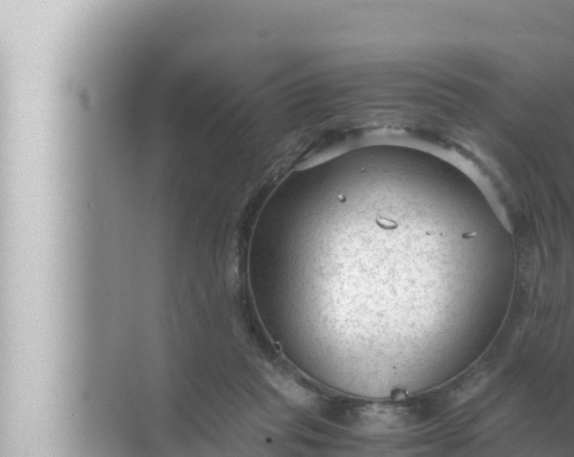 X0000072500261200607290113