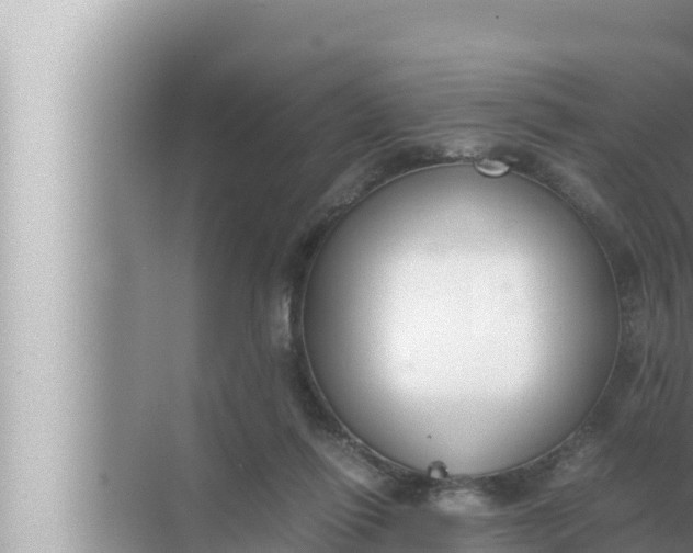 X0000072500262200607290113