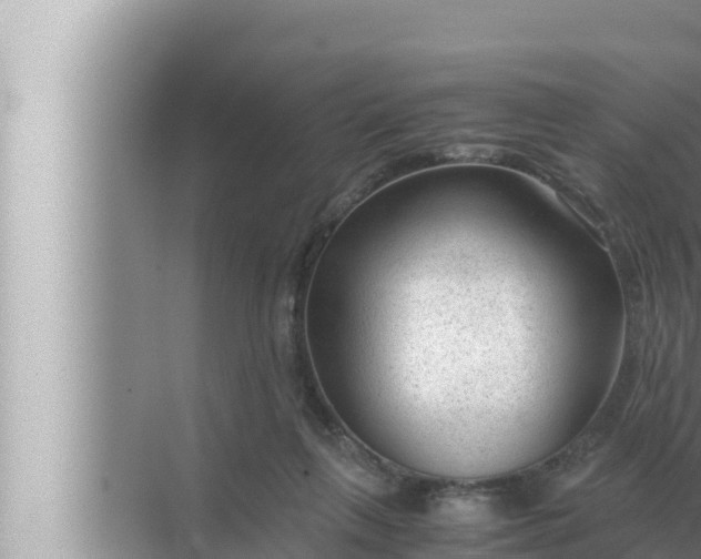 X0000072500263200607290113