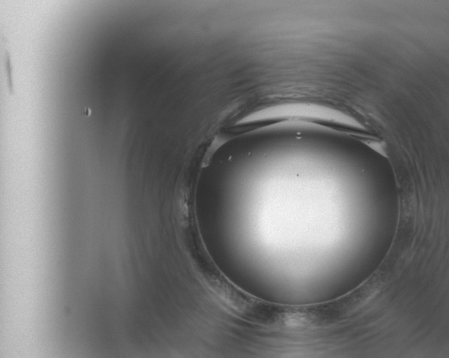 X0000072500264200607290113