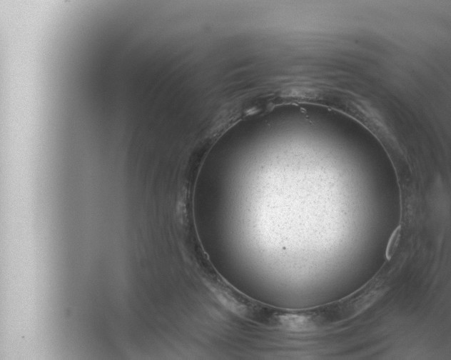 X0000072500265200607290113