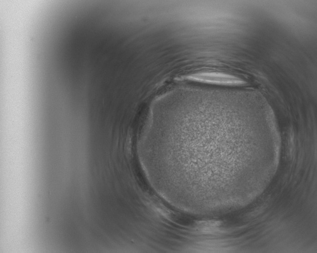 X0000072500266200607290113