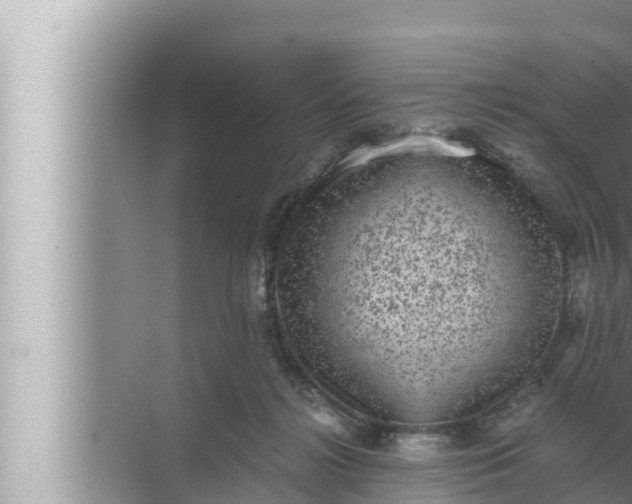 X0000072500268200607290113