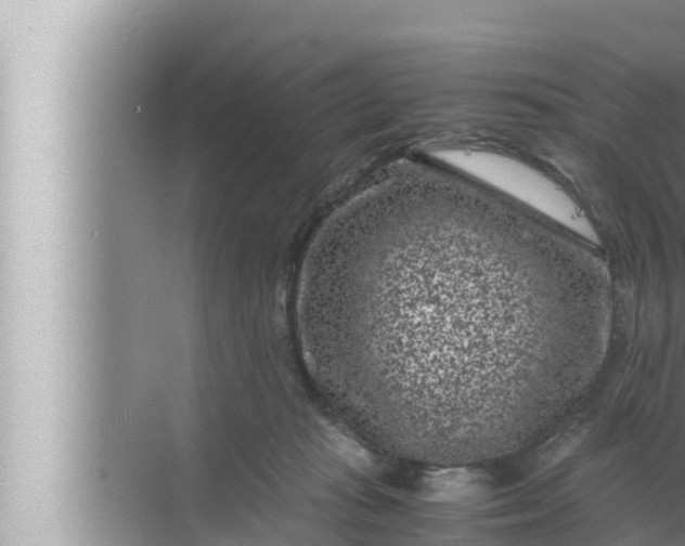 X0000072500269200607290113