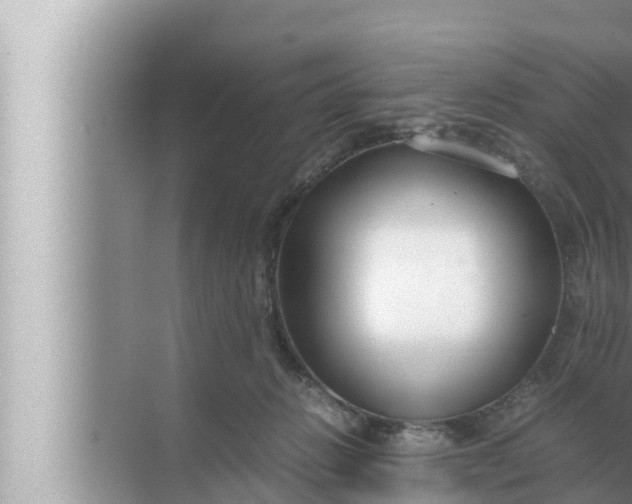 X0000072500270200607290113