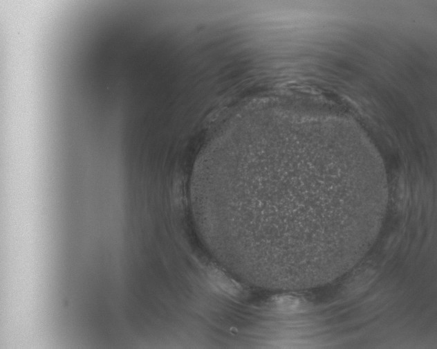 X0000072500272200607290113