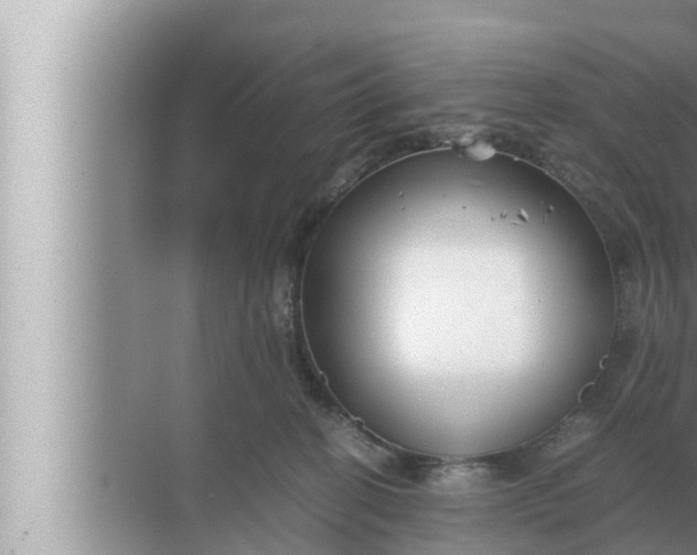 X0000072500274200607290113