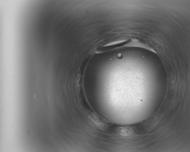 X0000072500275200607290113