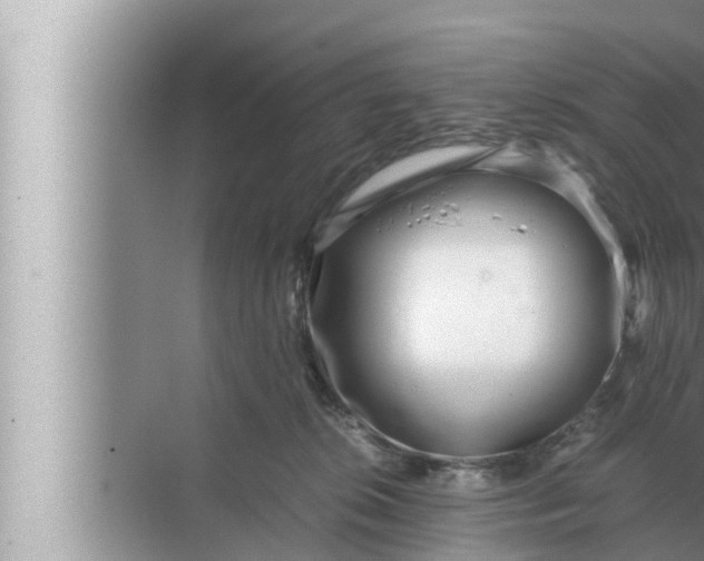 X0000072500276200607290113