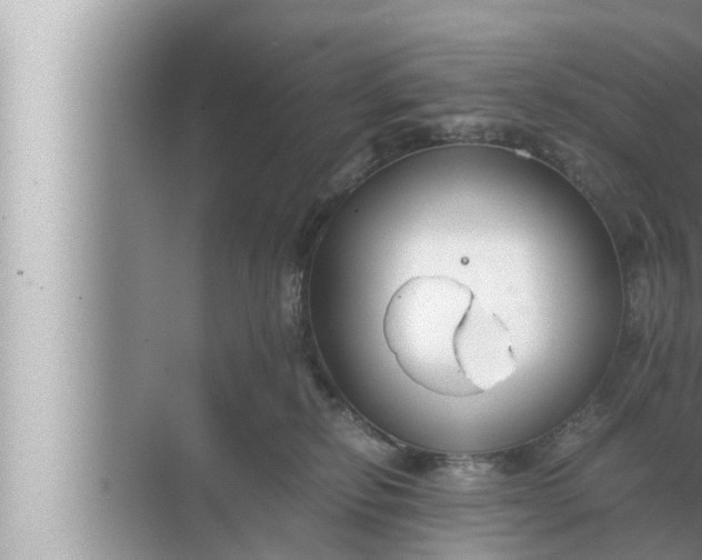 X0000072500278200607290113