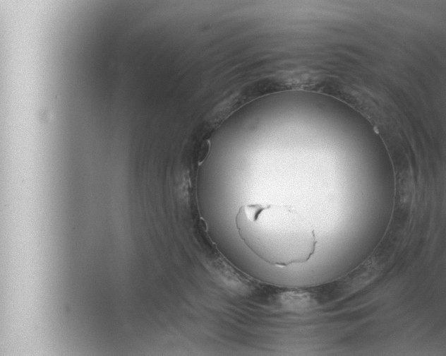 X0000072500279200607290113