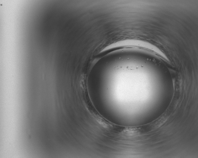 X0000072500280200607290113